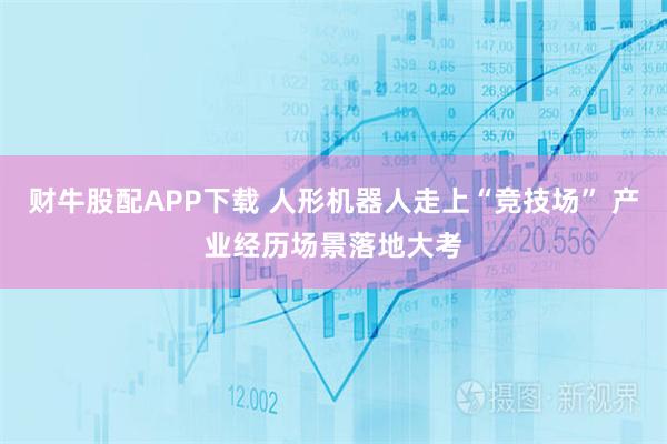 财牛股配APP下载 人形机器人走上“竞技场” 产业经历场景落地大考
