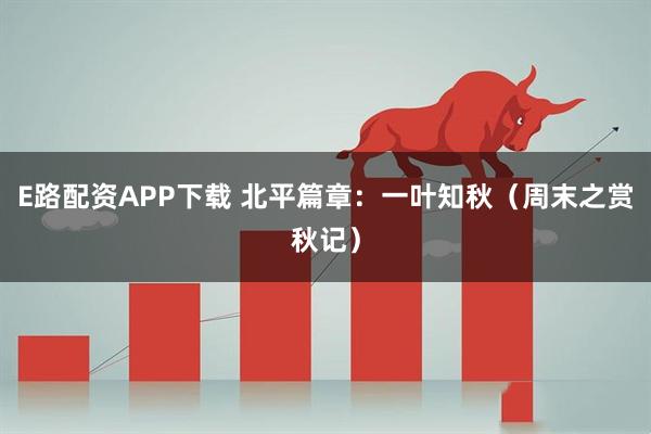 E路配资APP下载 北平篇章:一叶知秋(周末之赏秋记)